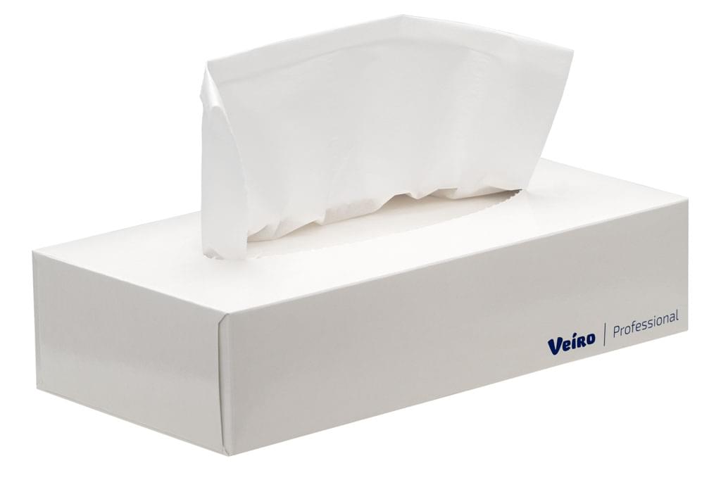 Салфетки бумажные косметические Veiro Professional Premium (пенал), цвет белый, 2 слоя, 100 листов, 200*200 мм 